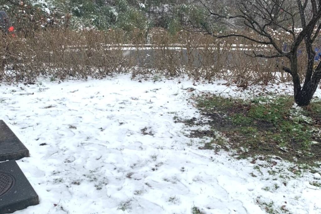 宮城県は3月半ばでも雪が降る